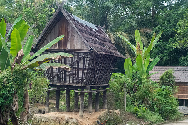 Dayak Bornéo Kalimantan