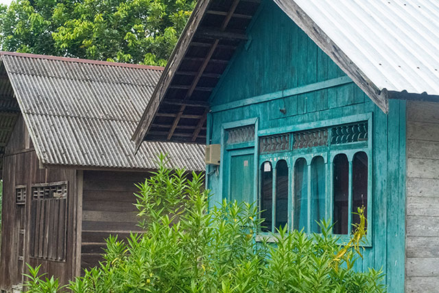 Dayak Bornéo Kalimantan