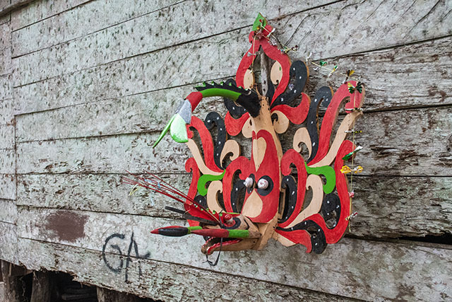 Dayak Bornéo Kalimantan