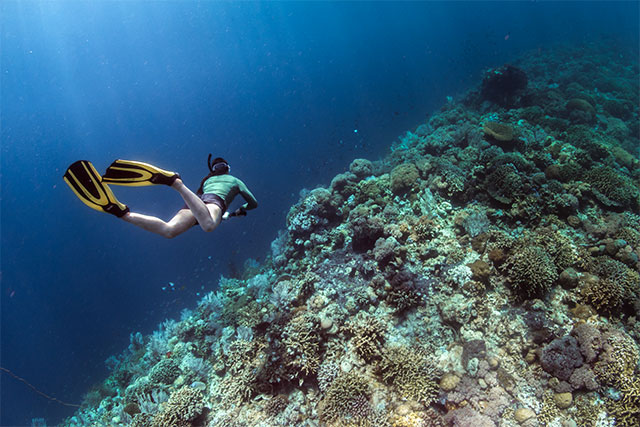 Croisière sulawesi