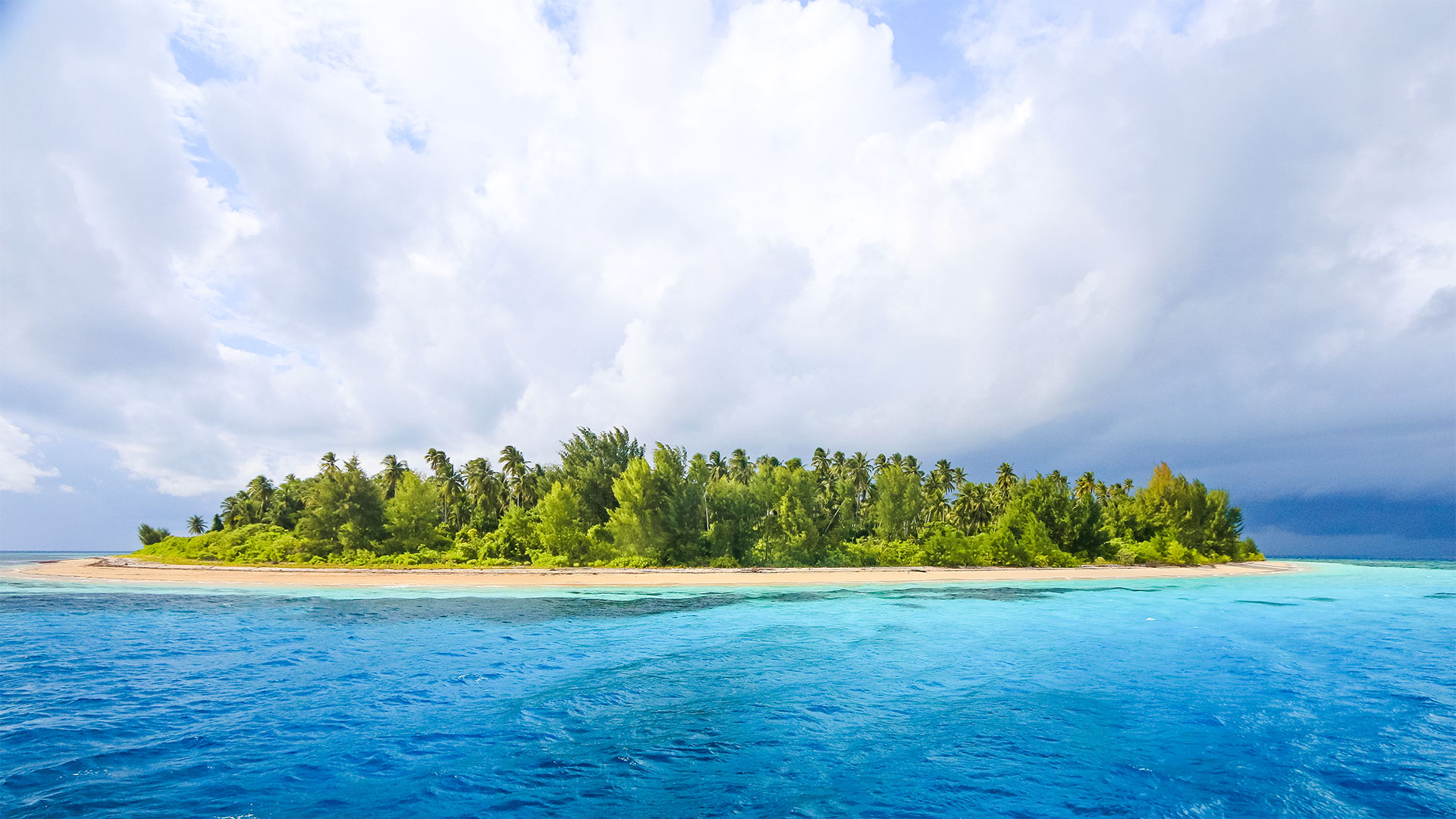 Croisière Sulawesi