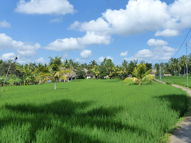 cuisine bali