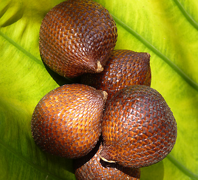 Les fruits exotiques