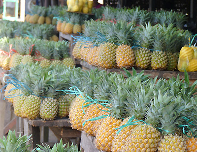 Les fruits exotiques