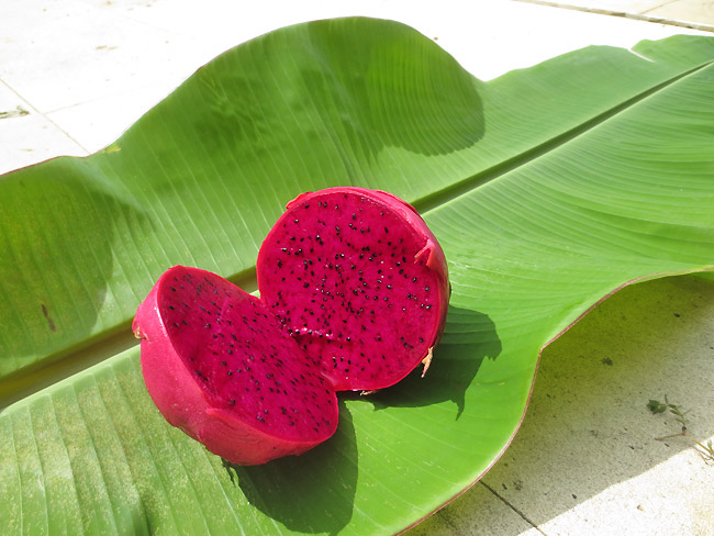 Les fruits exotiques