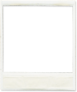 Bordure Pola