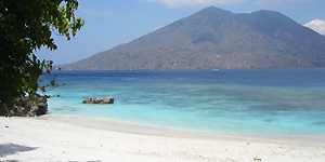 Alor & Rote - Indonésie