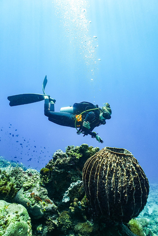 ile de Alor - Indonésie