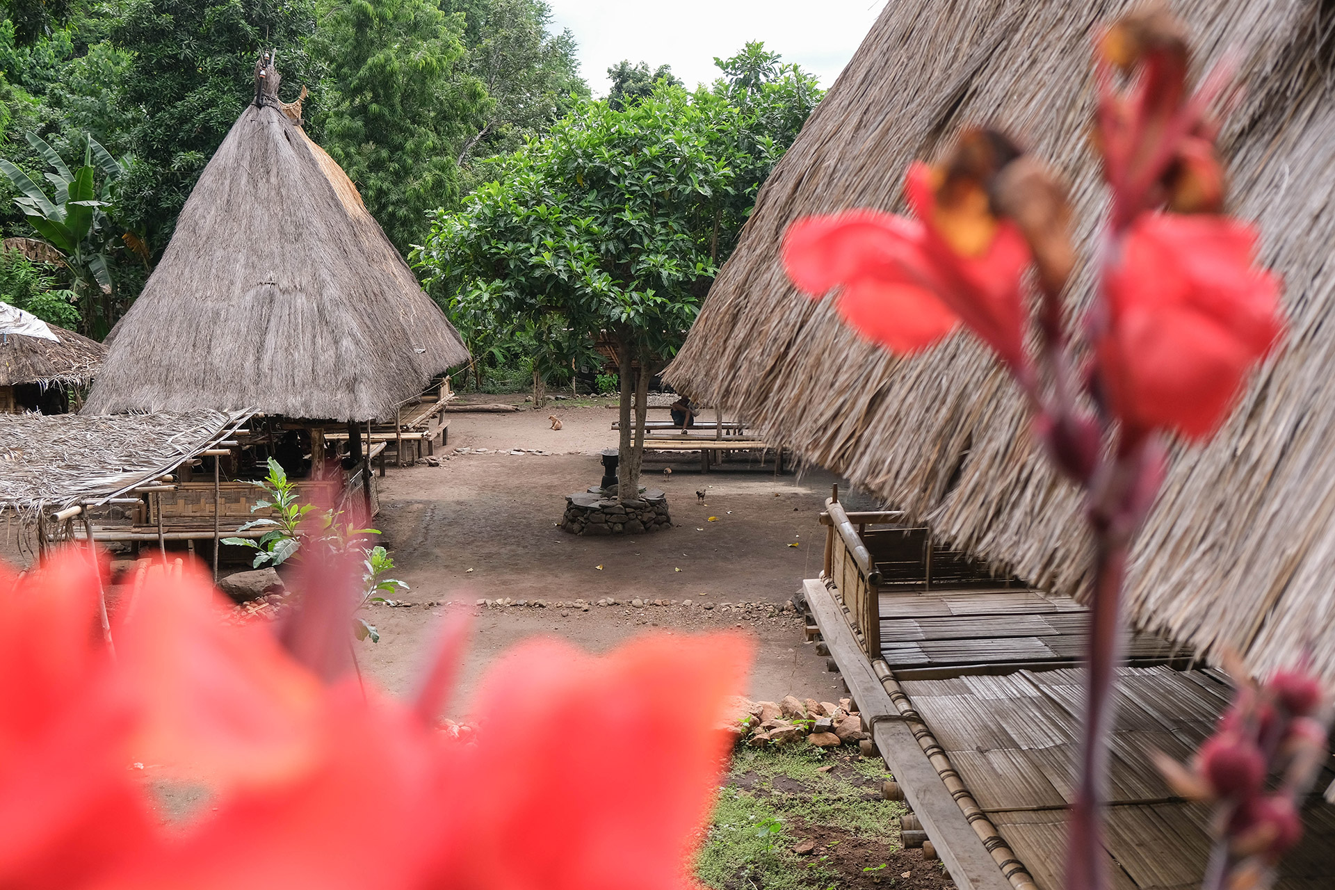 ile de Alor - Indonésie