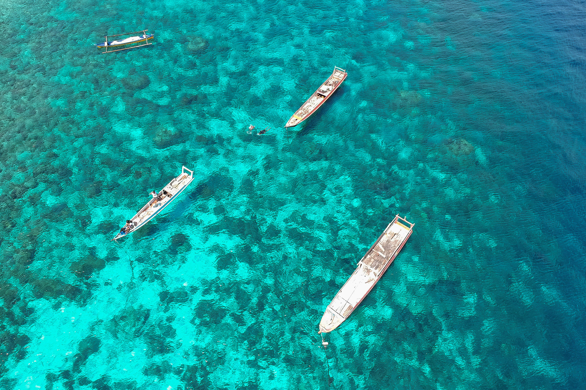 ile de Alor - Indonésie