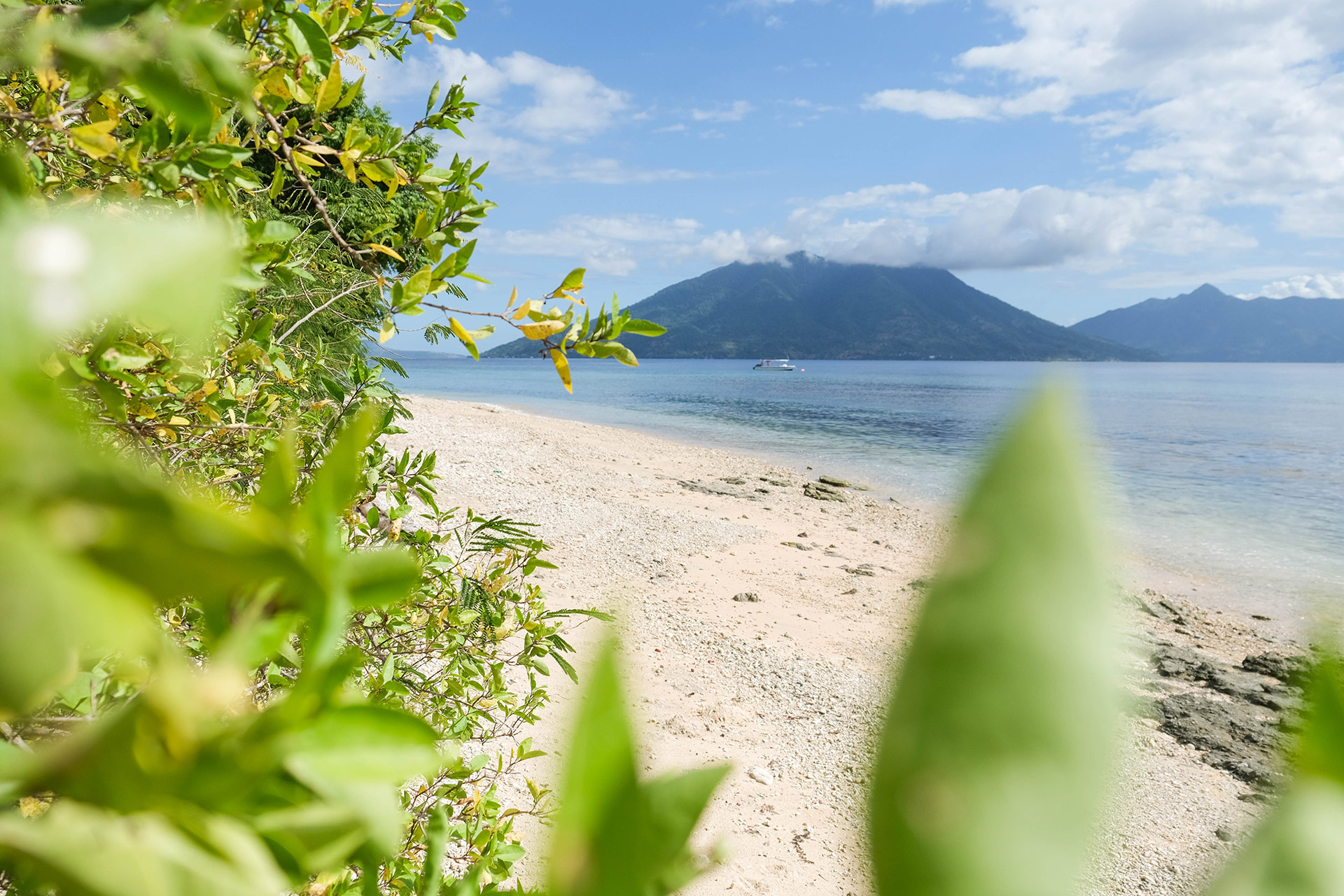 ile de Alor - Indonésie