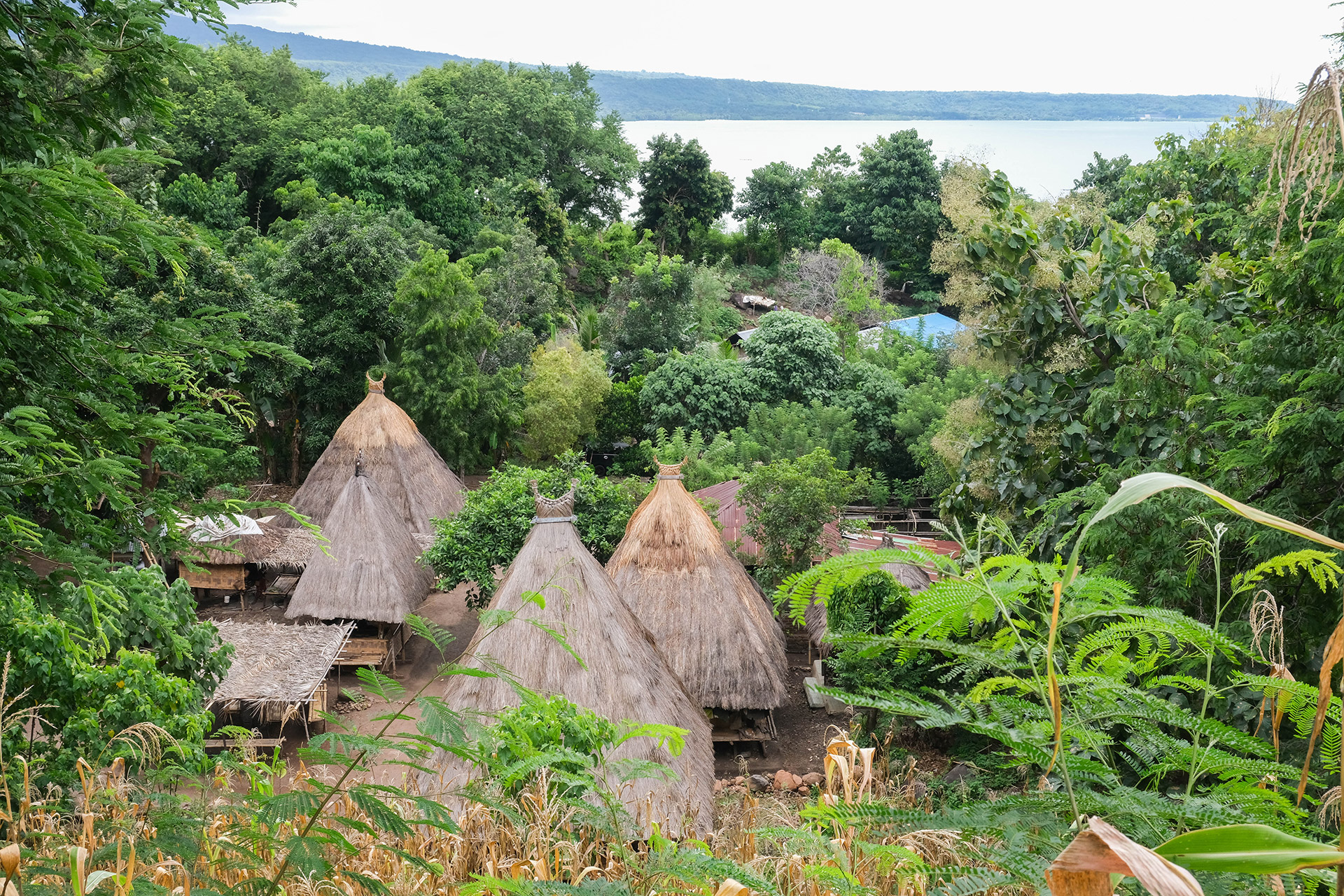 ile de Alor - Indonésie