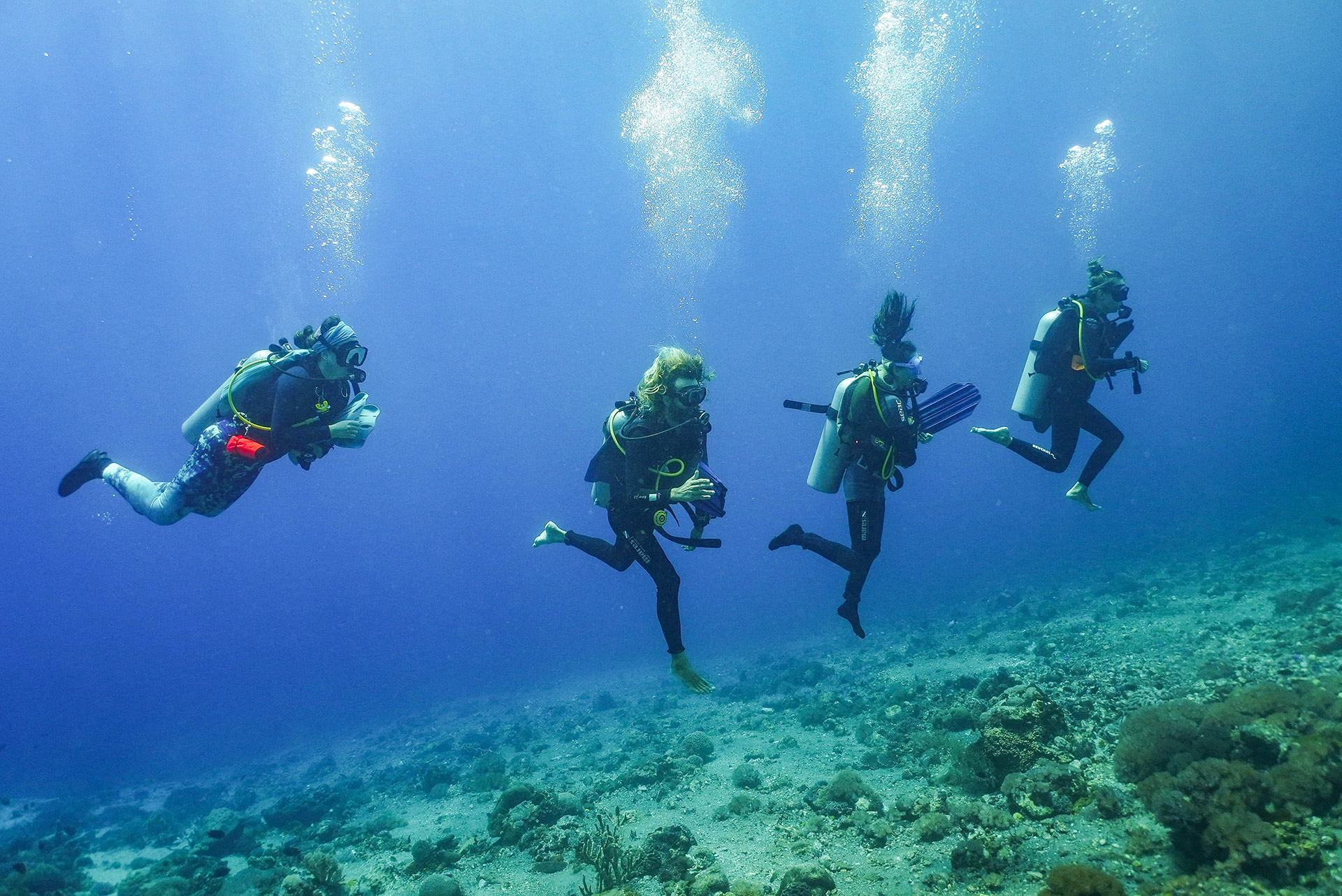 ile de Alor - Indonésie