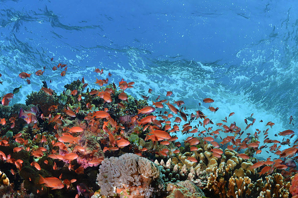 Croisière Indonésie 
