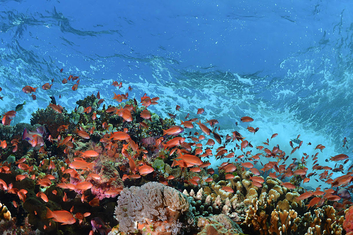 Croisière Indonésie 