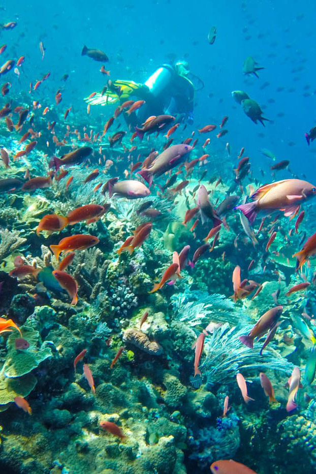 Croisière Indonésie 