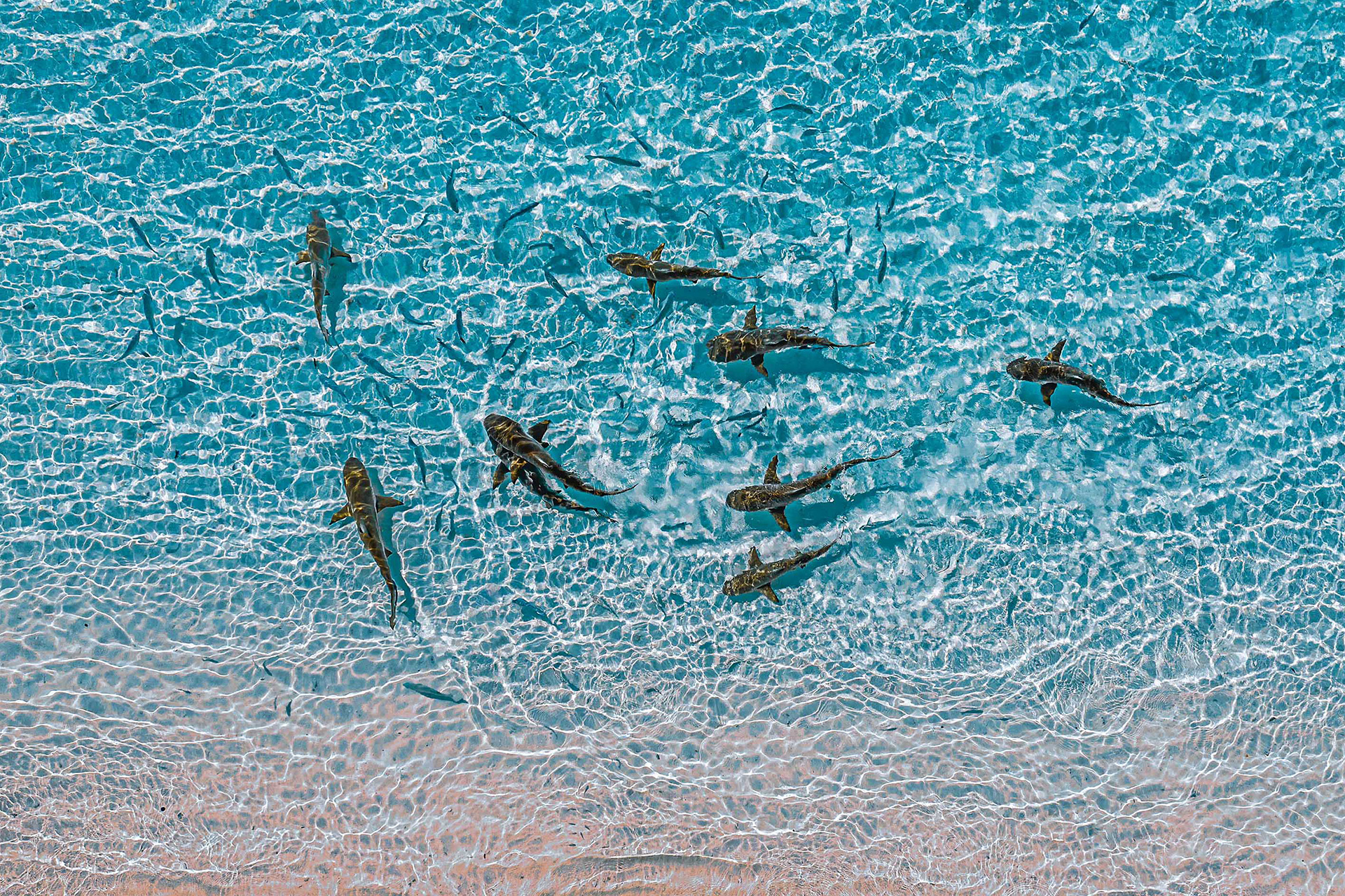 Croisière Indonésie 