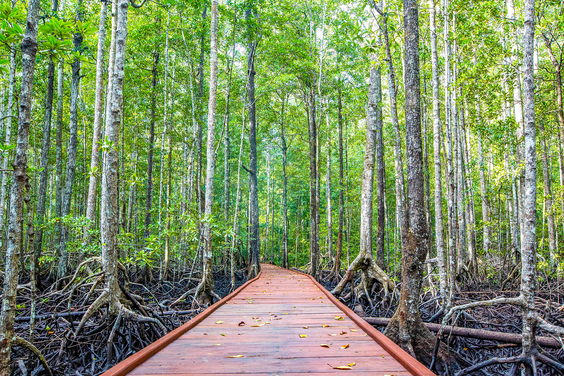Croisière Indonésie 