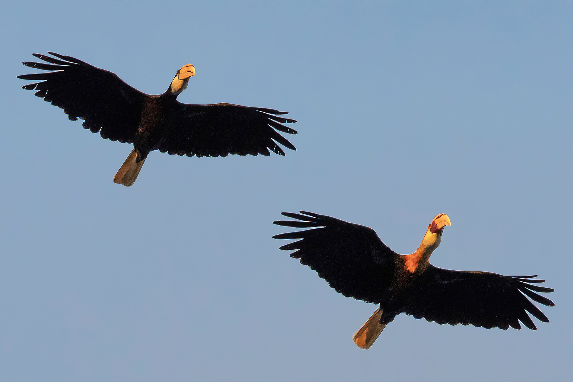 Croisière Indonésie 