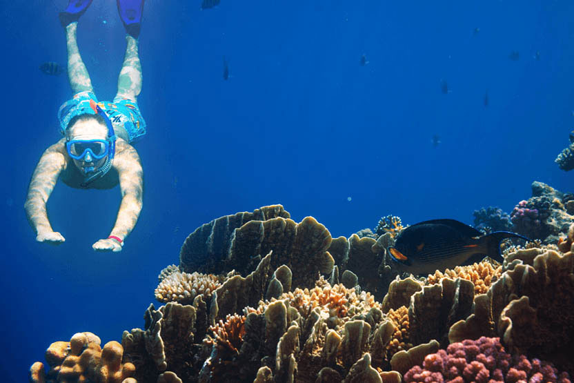 Croisière Indonésie 