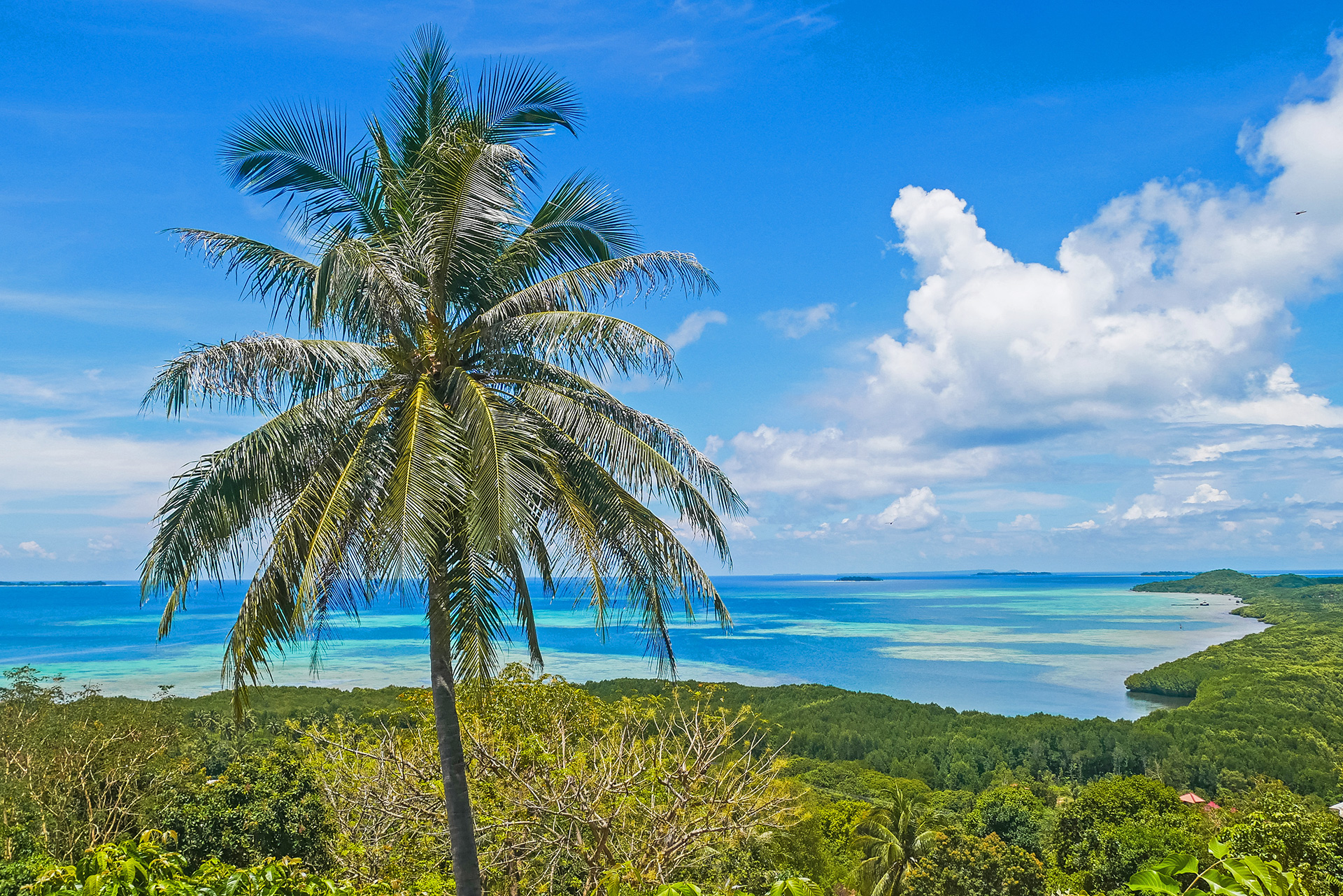 Archipel de Karimunjawa - Java - Indonésie