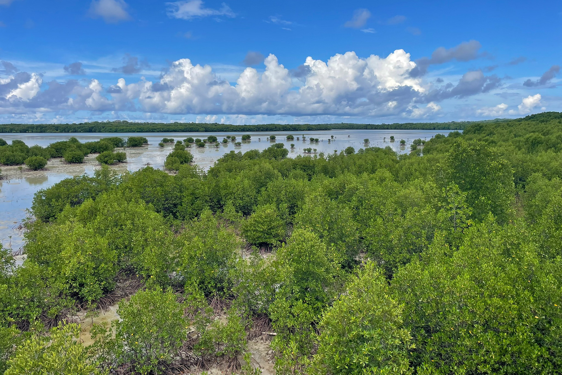 Archipel de Karimunjawa - Java - Indonésie