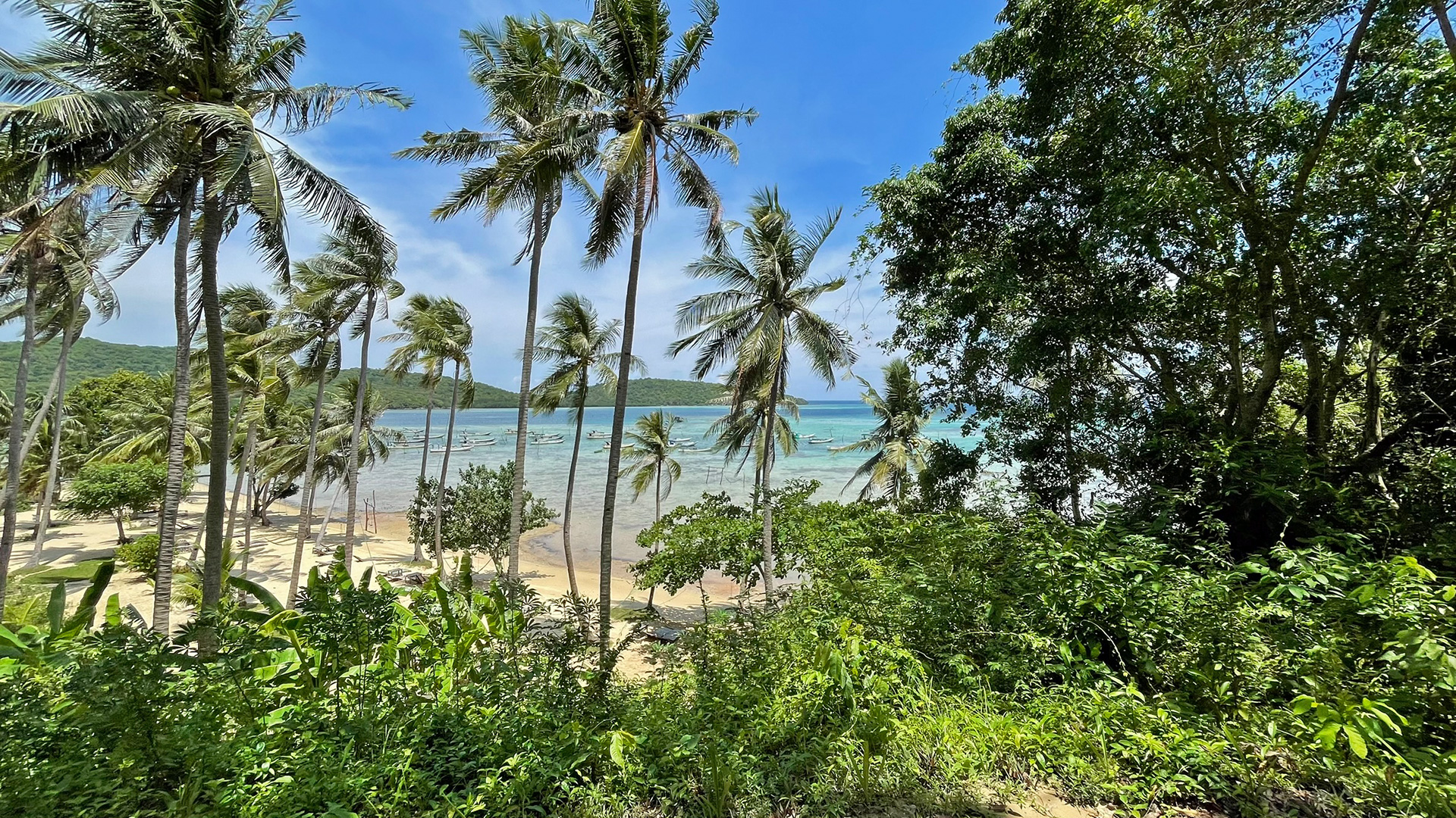 Archipel de Karimunjawa - Java - Indonésie