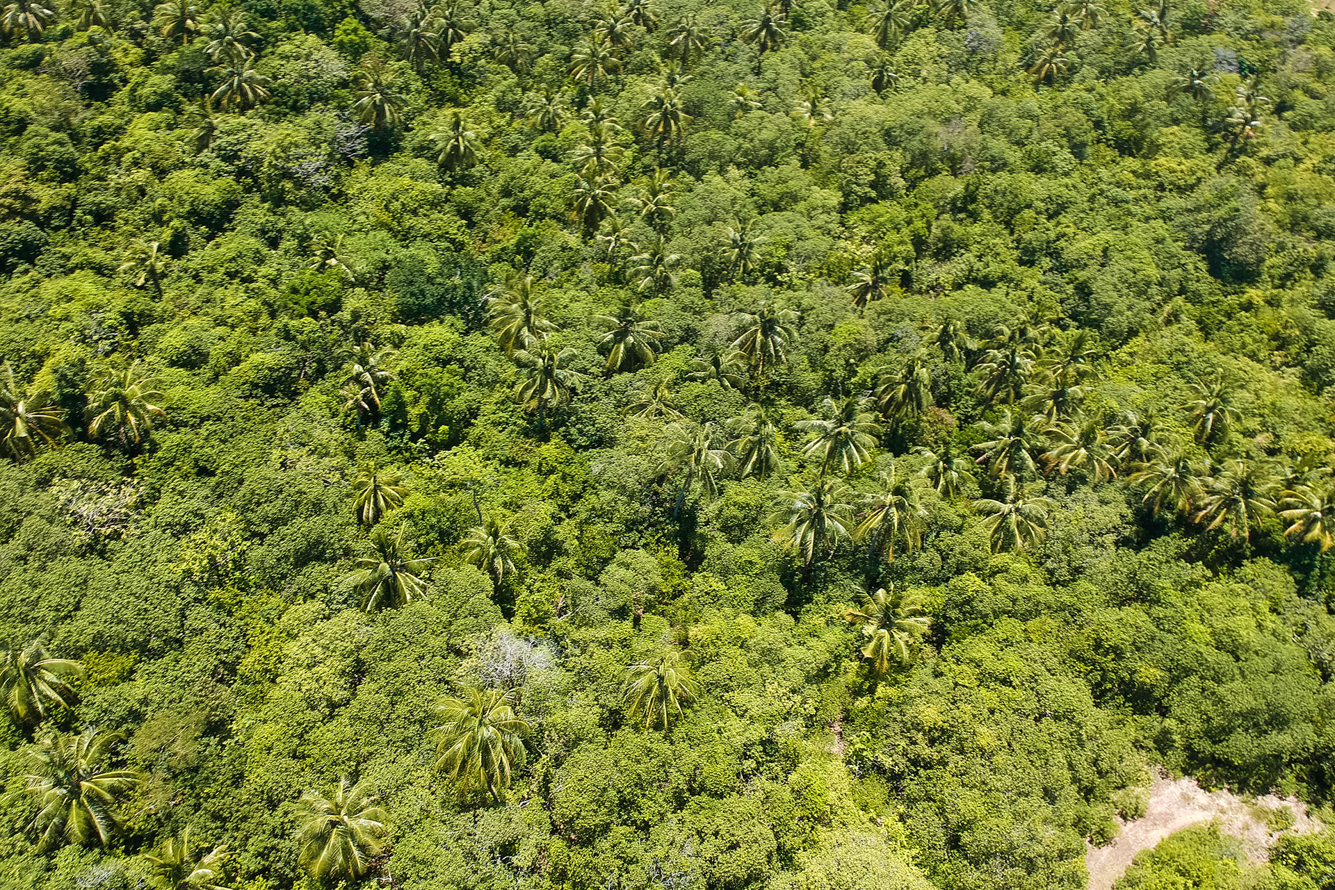Archipel de Karimunjawa - Java - Indonésie