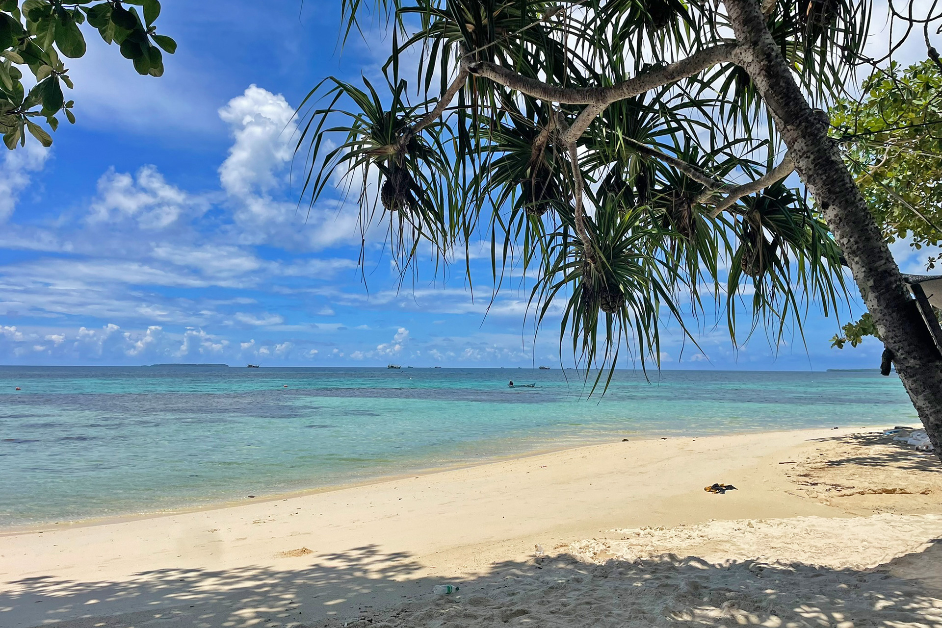 Archipel de Karimunjawa - Java - Indonésie