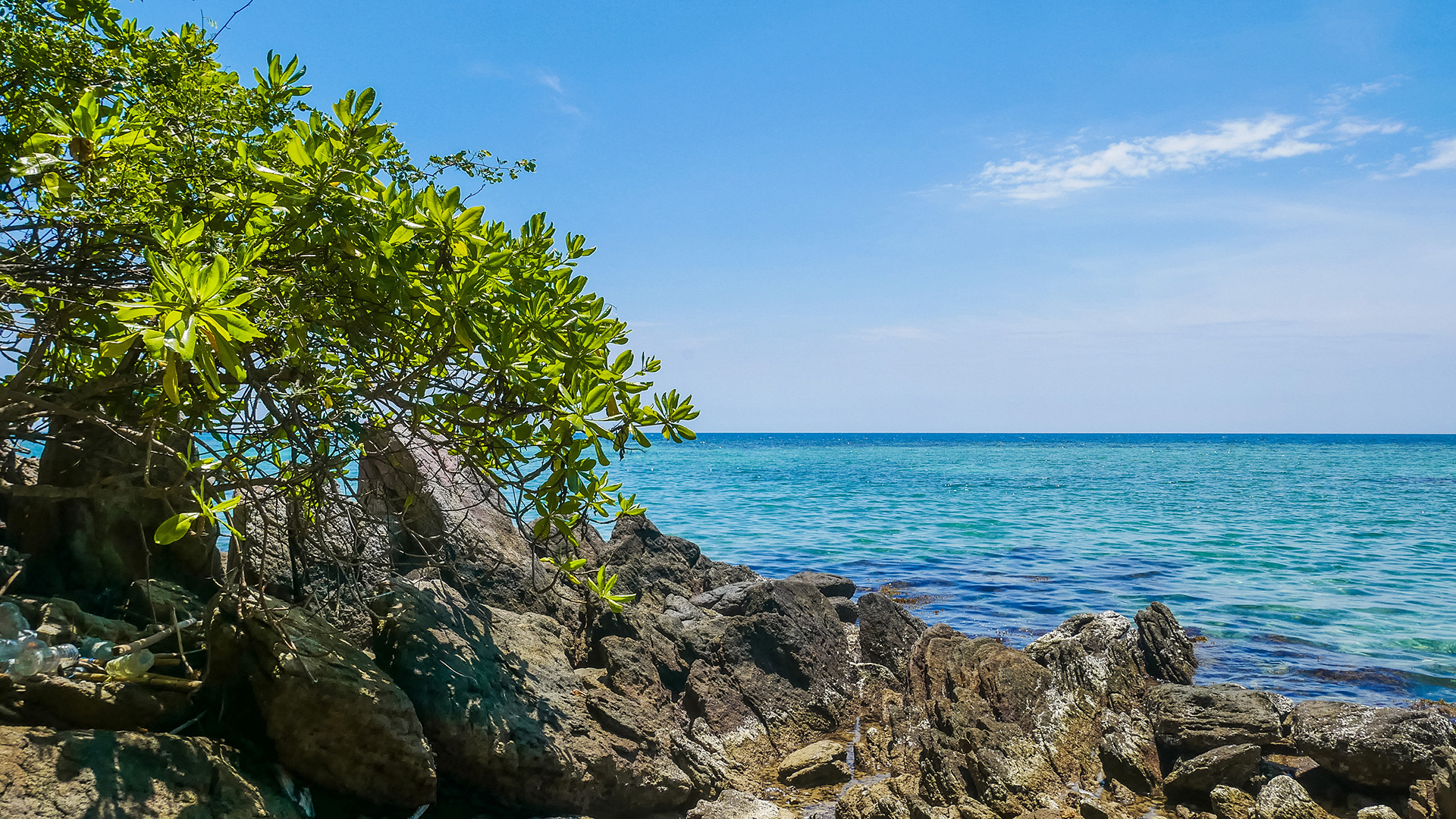 Archipel de Karimunjawa - Java - Indonésie