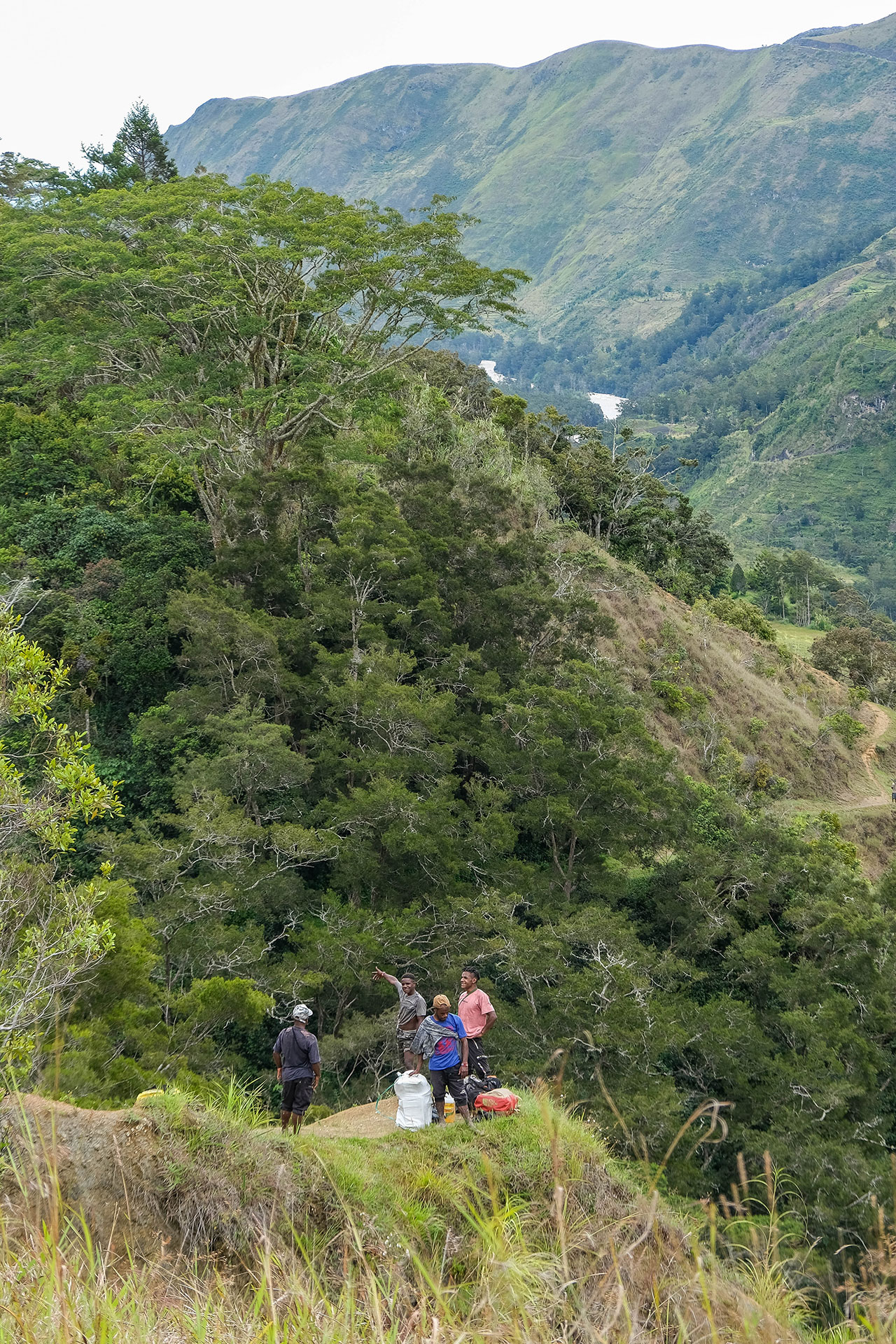 vallée de Baliem - Papouasie - Indonésie