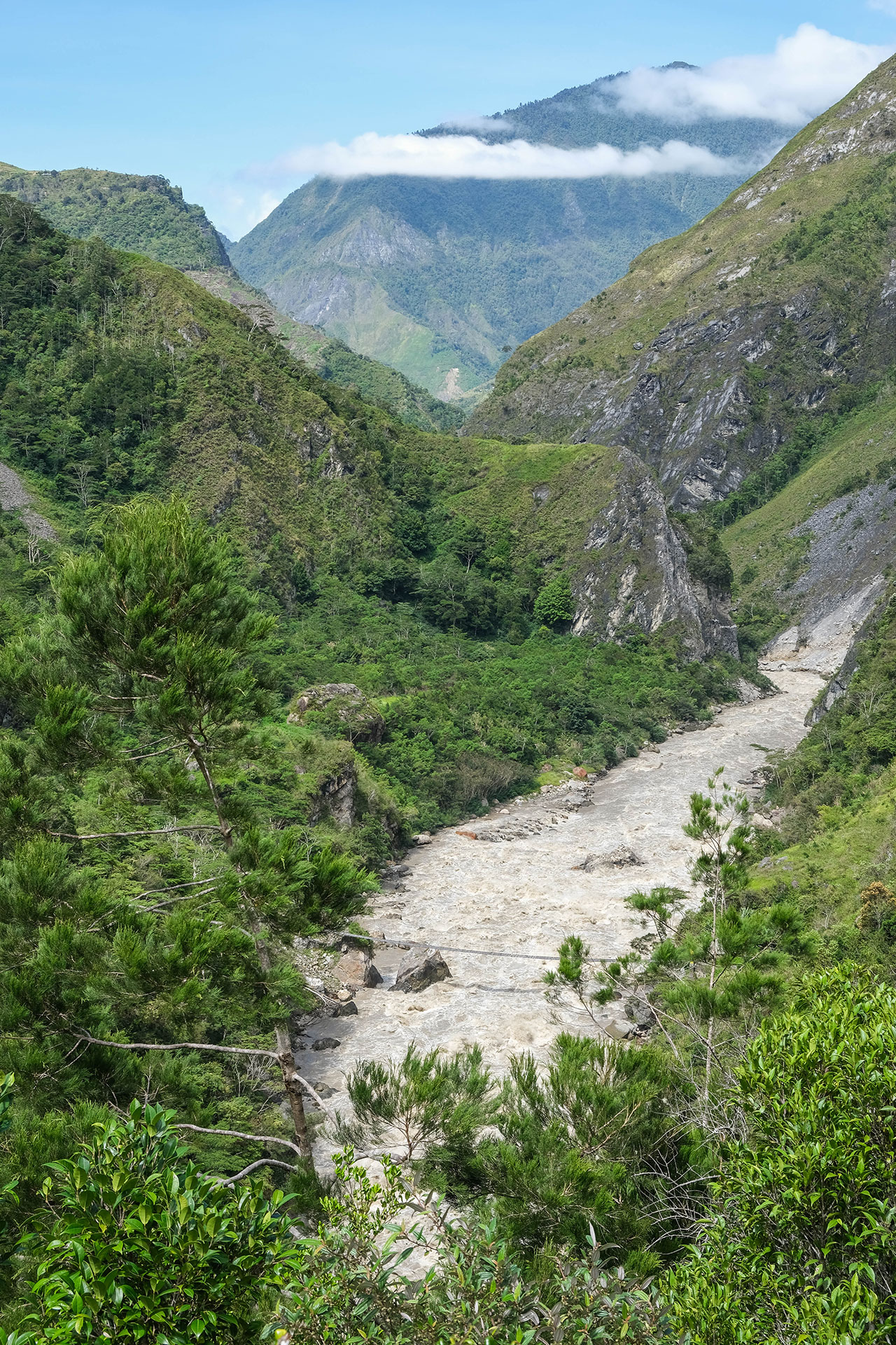 vallée de Baliem - Papouasie - Indonésie