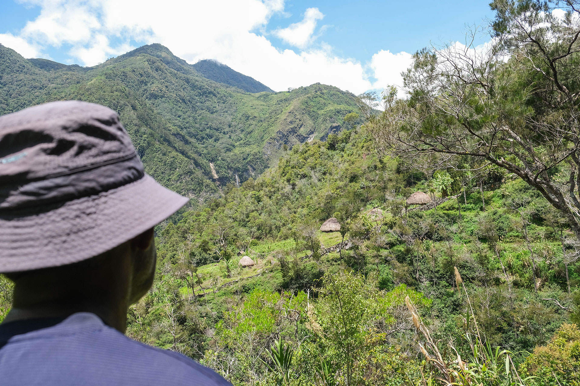 vallée de Baliem - Papouasie - Indonésie