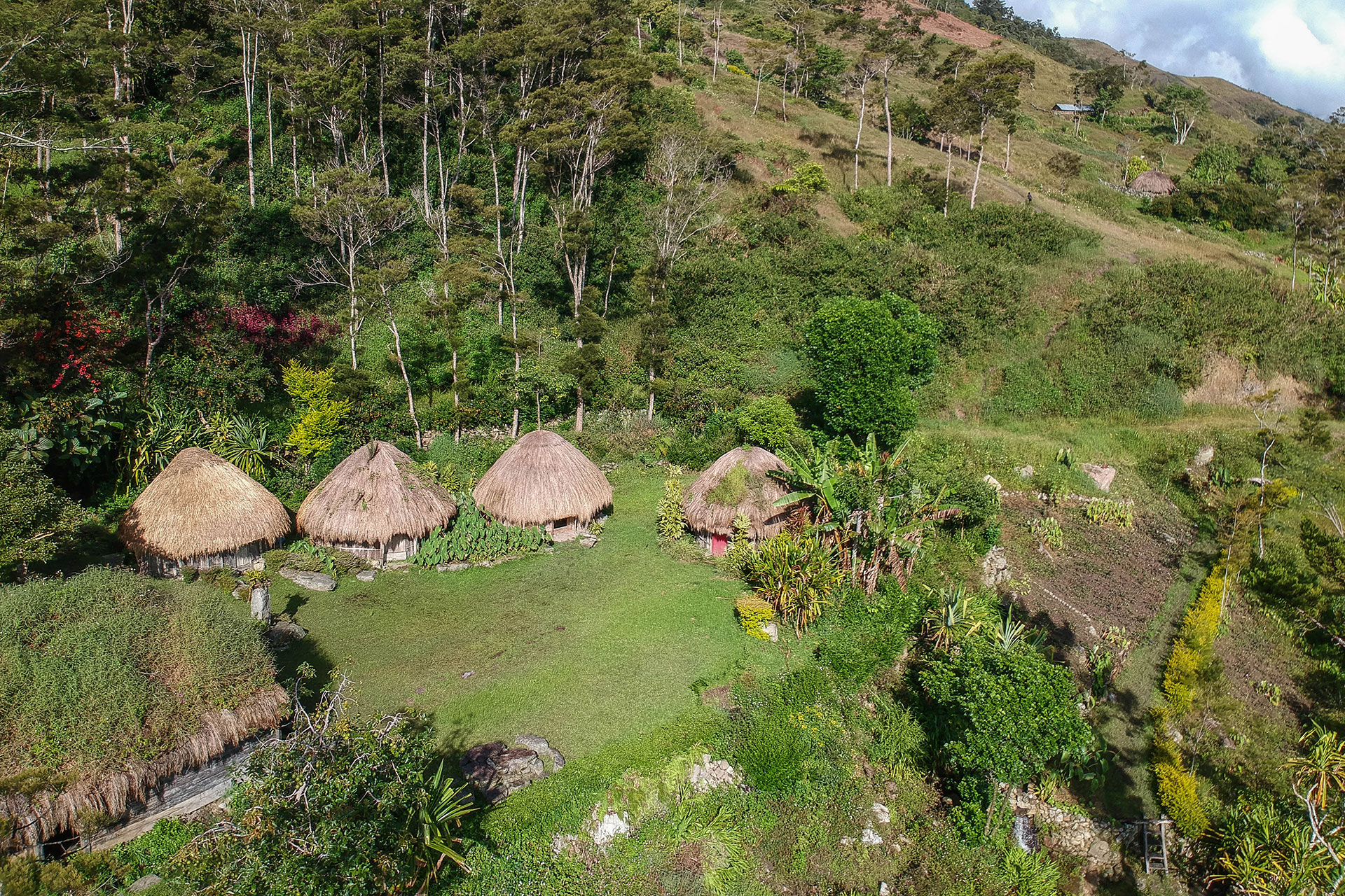 vallée de Baliem - Papouasie - Indonésie
