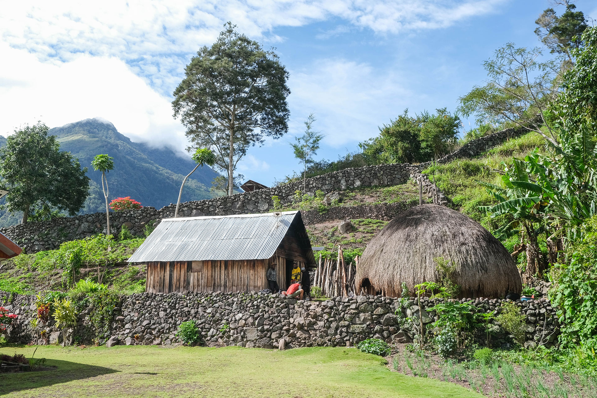 vallée de Baliem - Papouasie - Indonésie