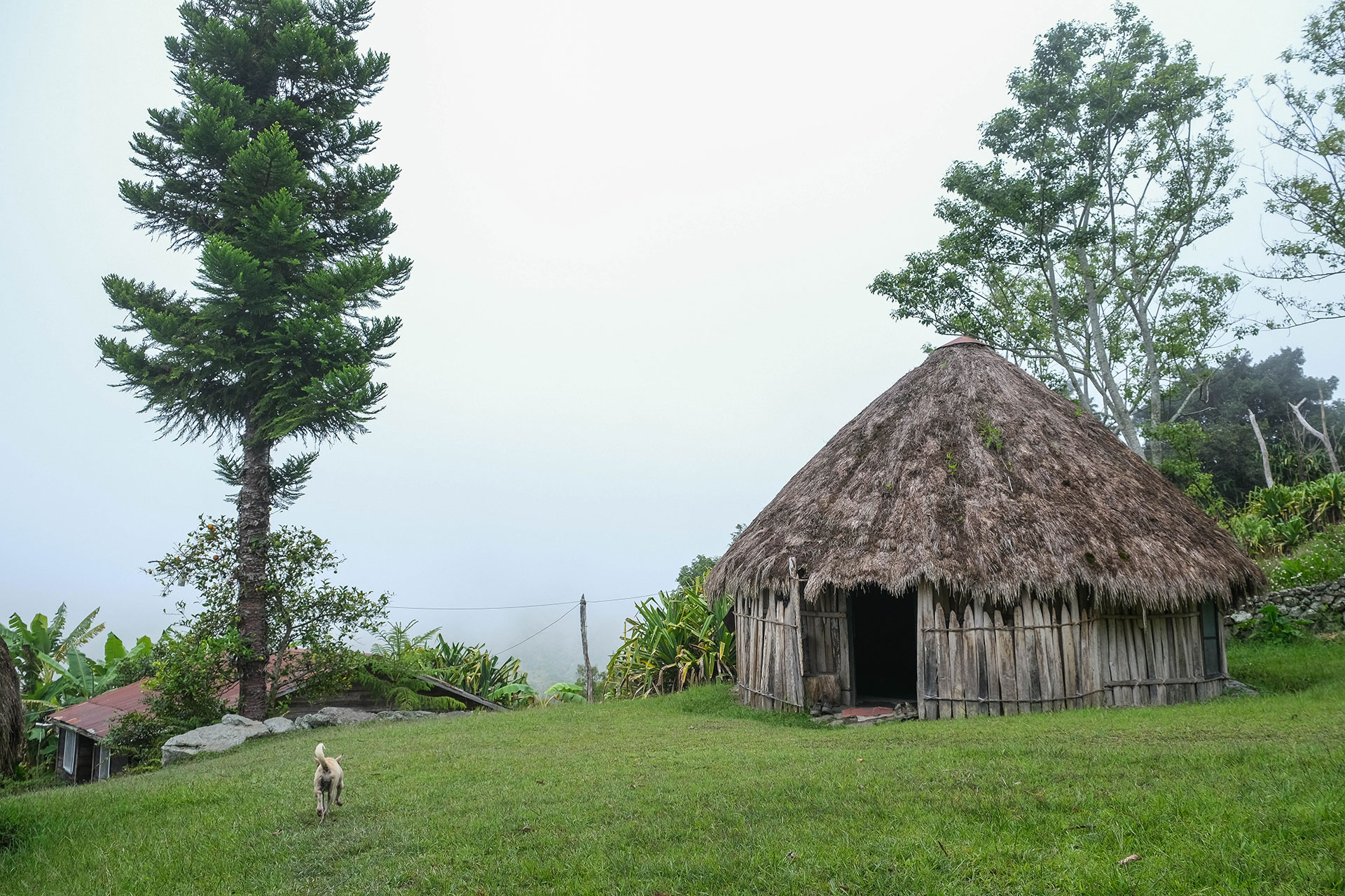 vallée de Baliem - Papouasie - Indonésie