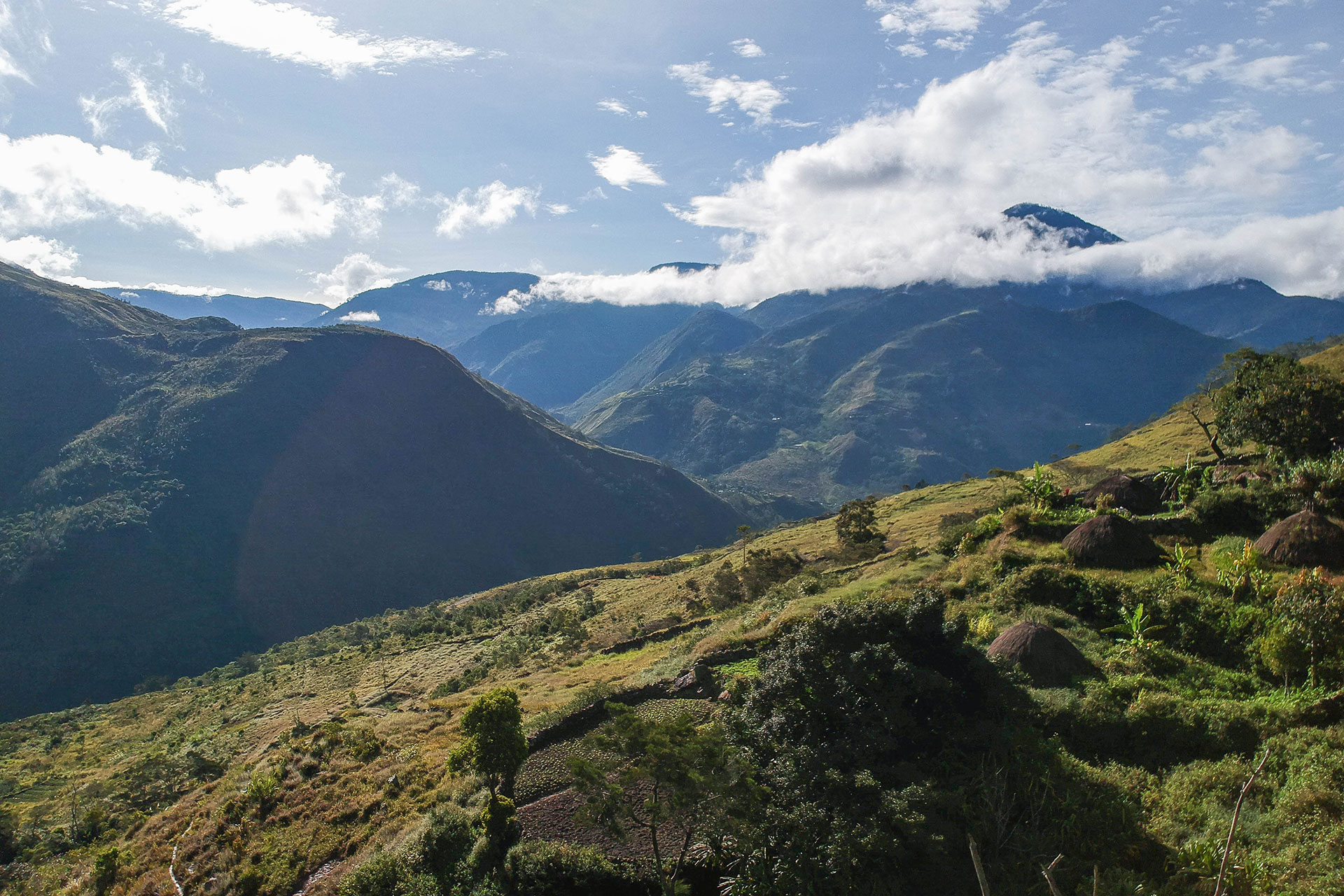 vallée de Baliem - Papouasie - Indonésie