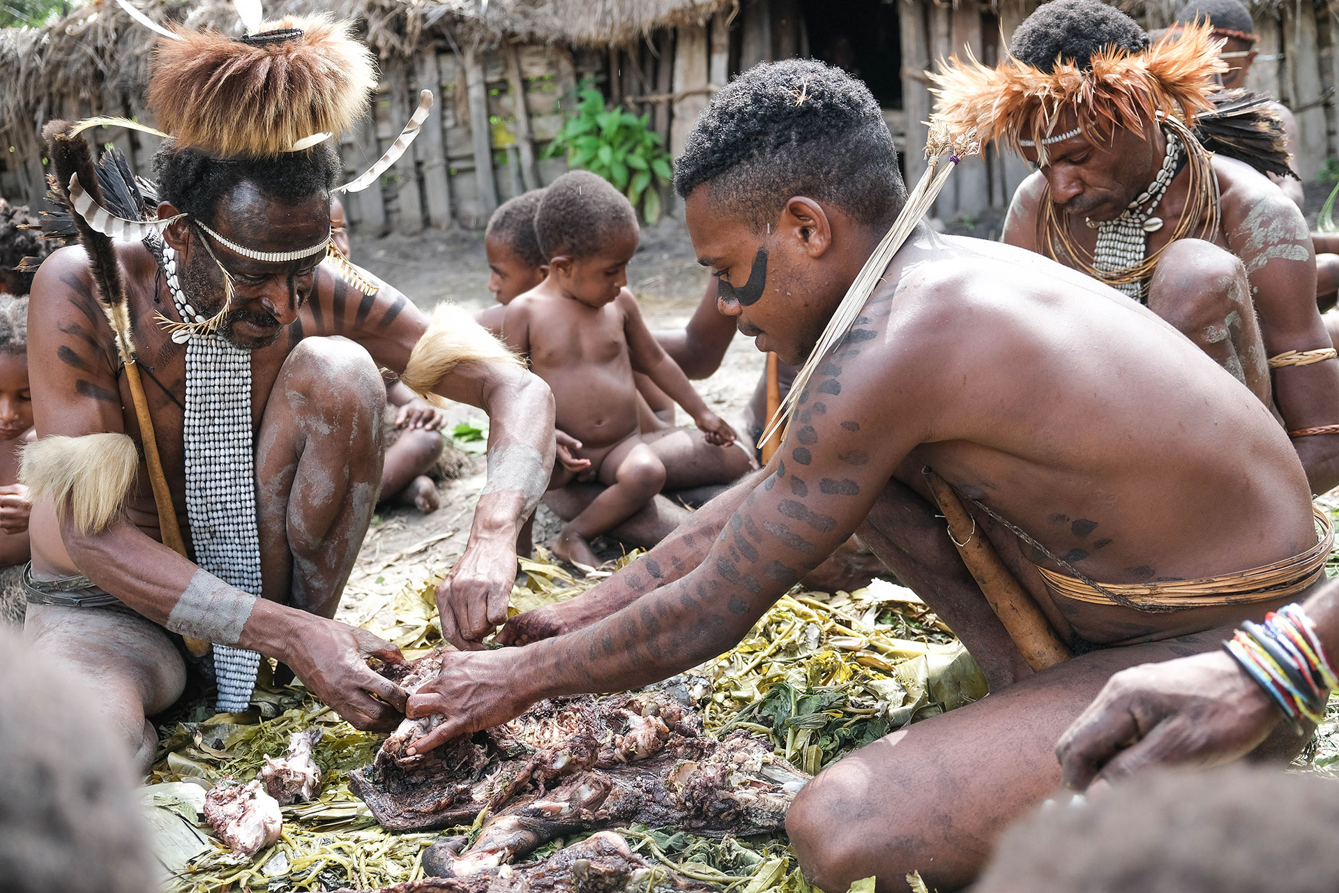 vallée de Baliem - Papouasie - Indonésie