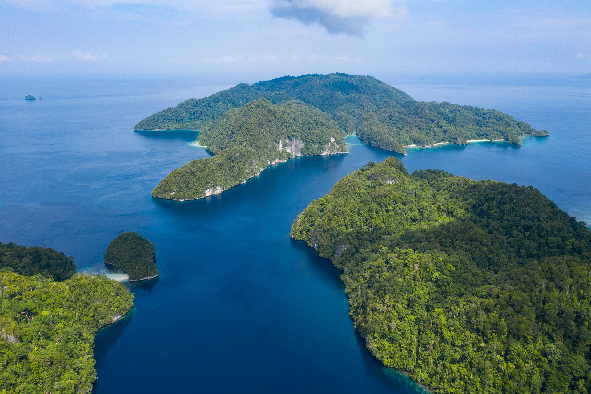 Raja Ampat 
