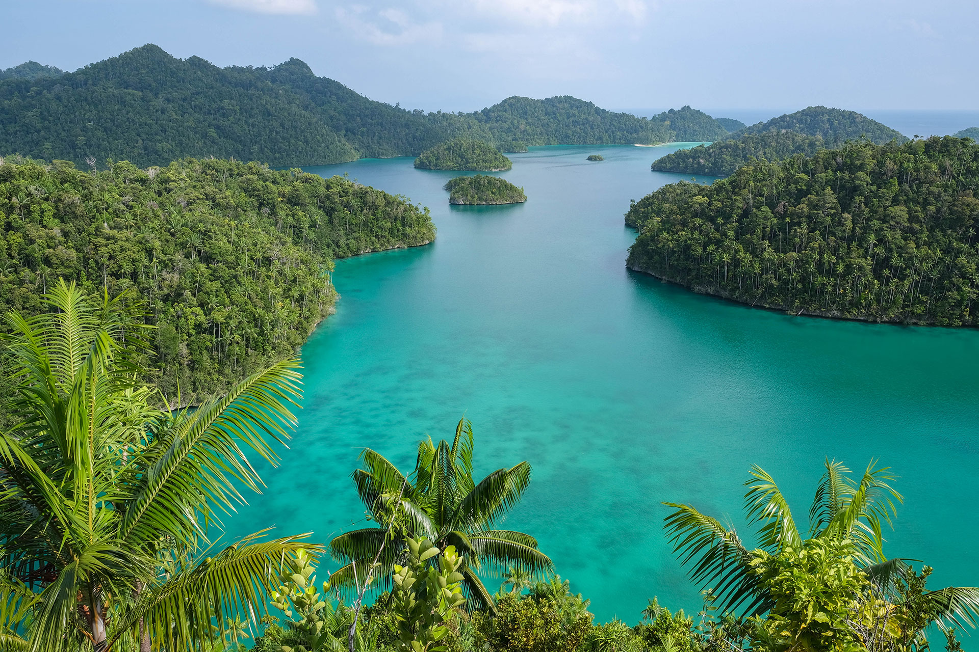 Raja Ampat 