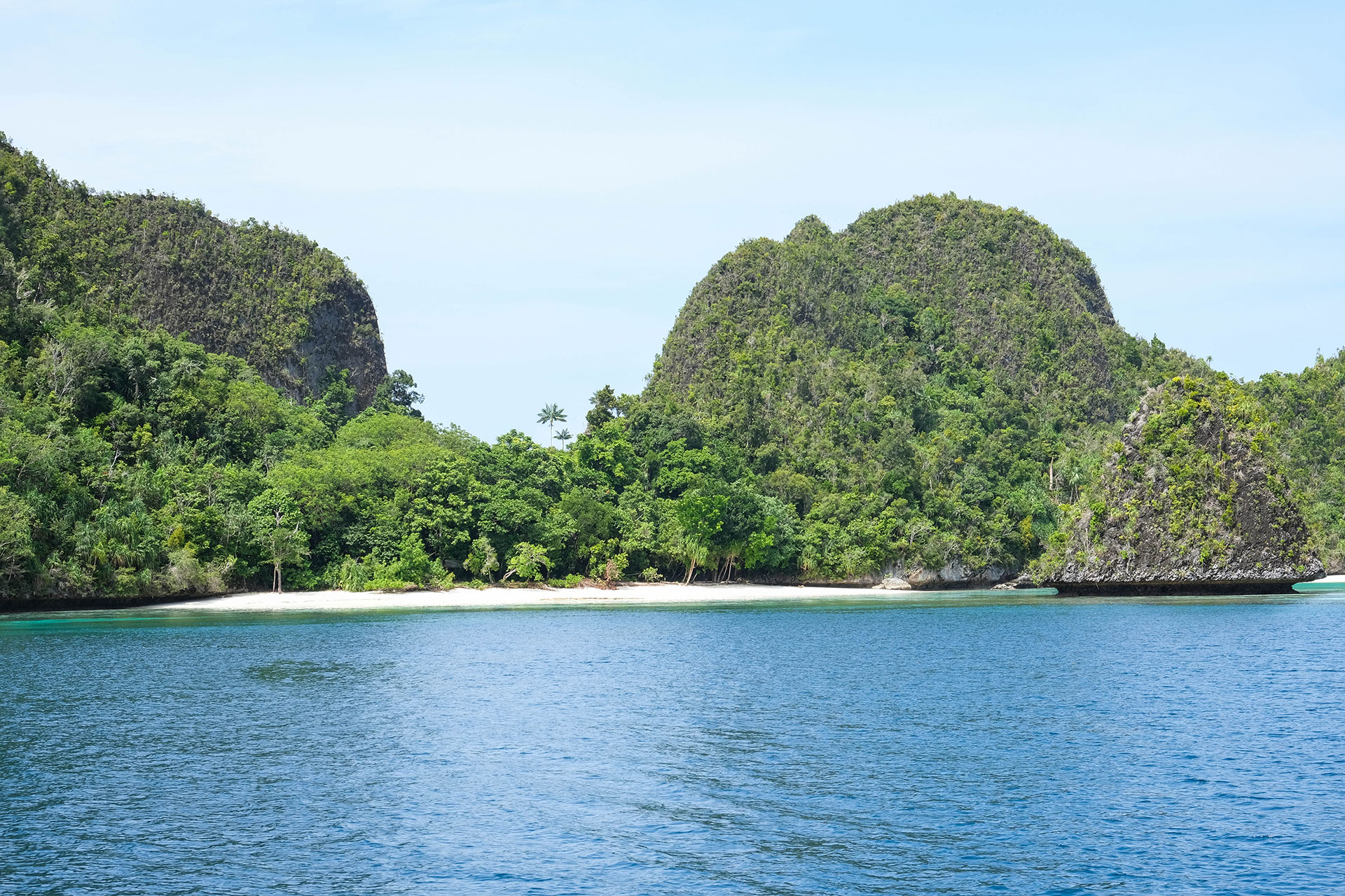 Raja Ampat 