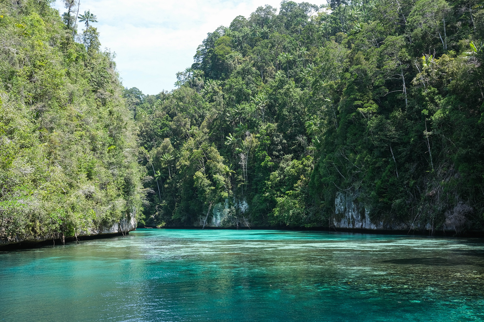 Raja Ampat 