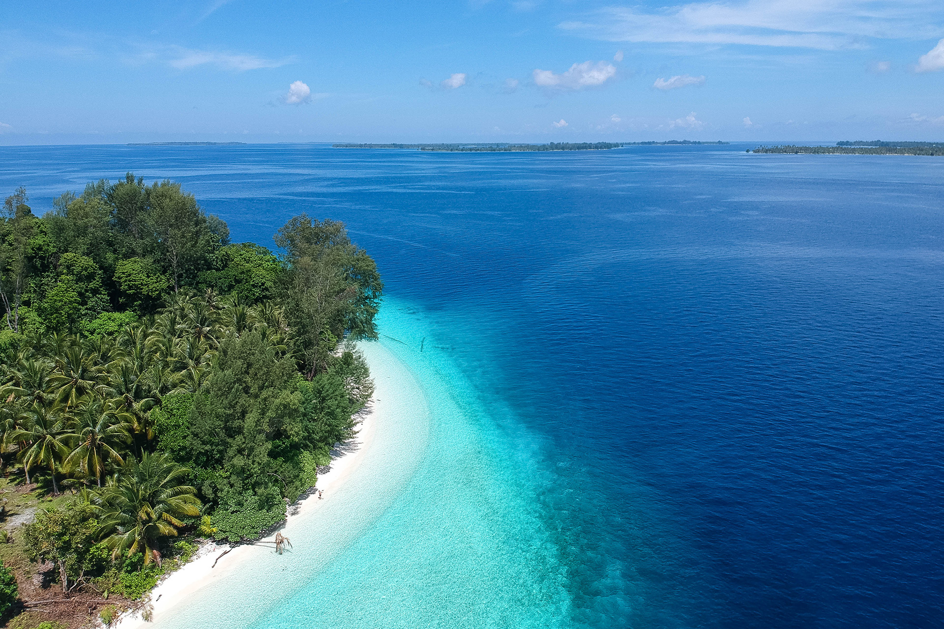 Raja Ampat 