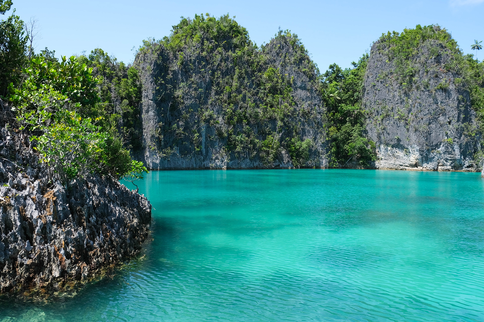 Raja Ampat 