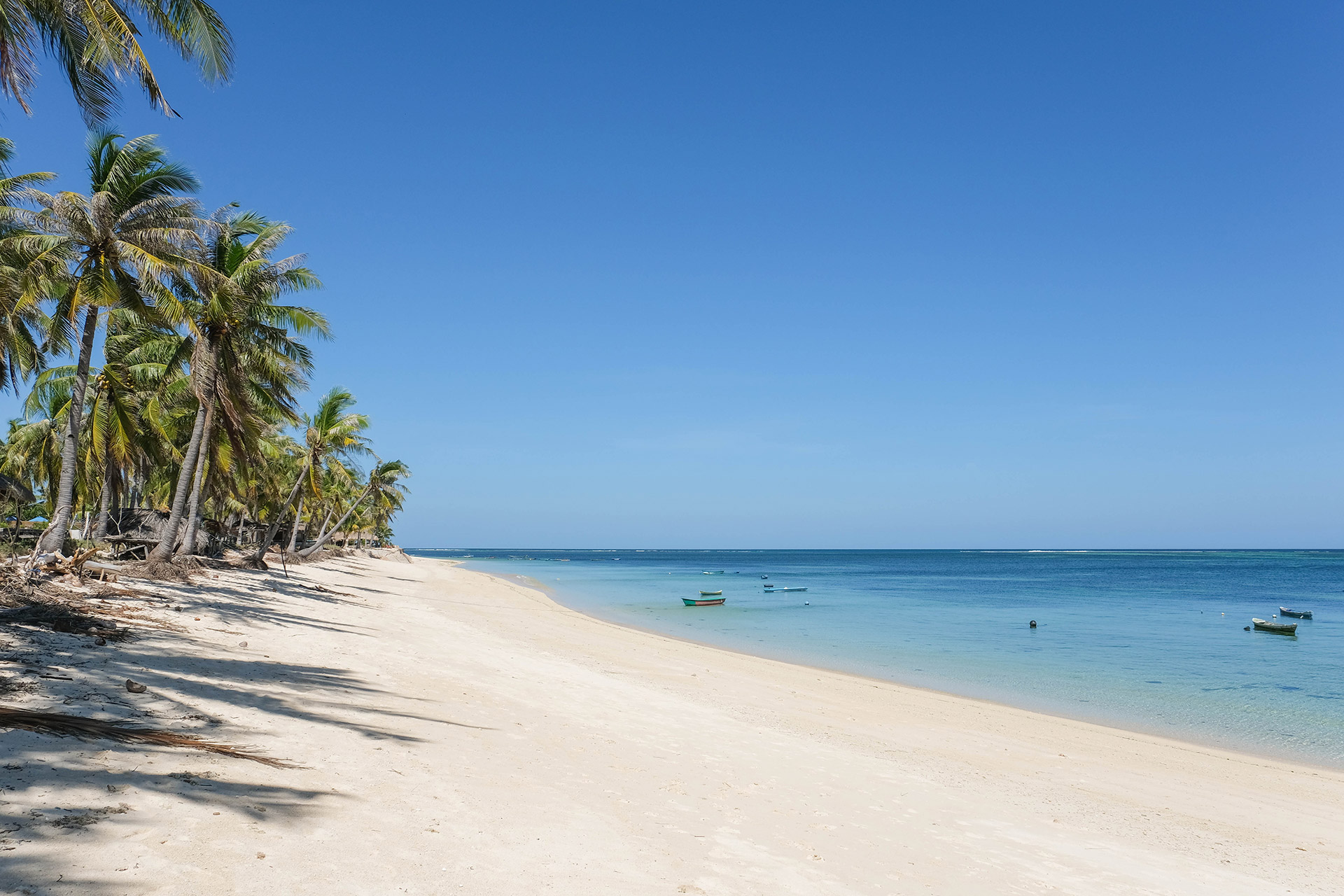 ile de Rote - Indonésie