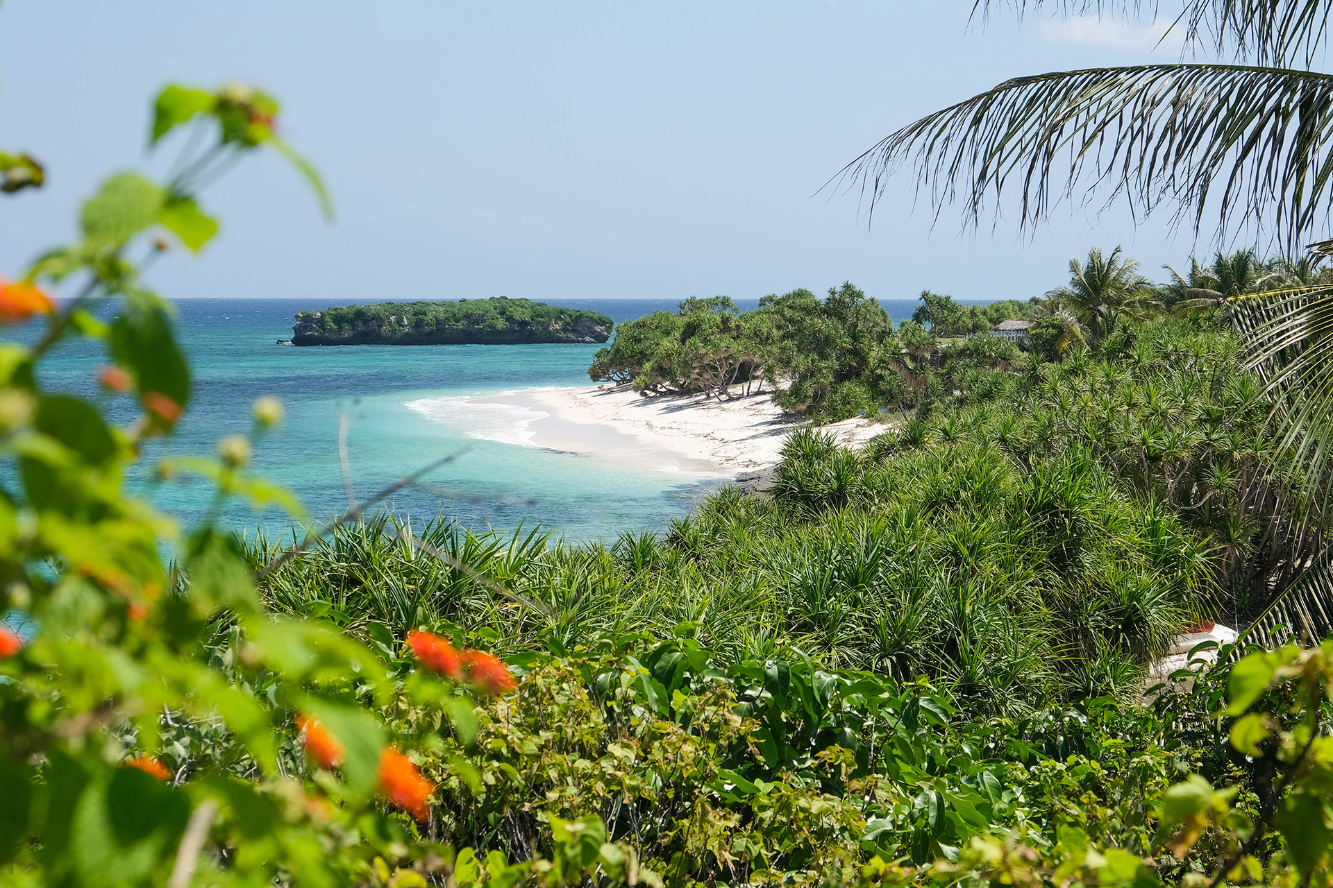 ile de Rote - Indonésie