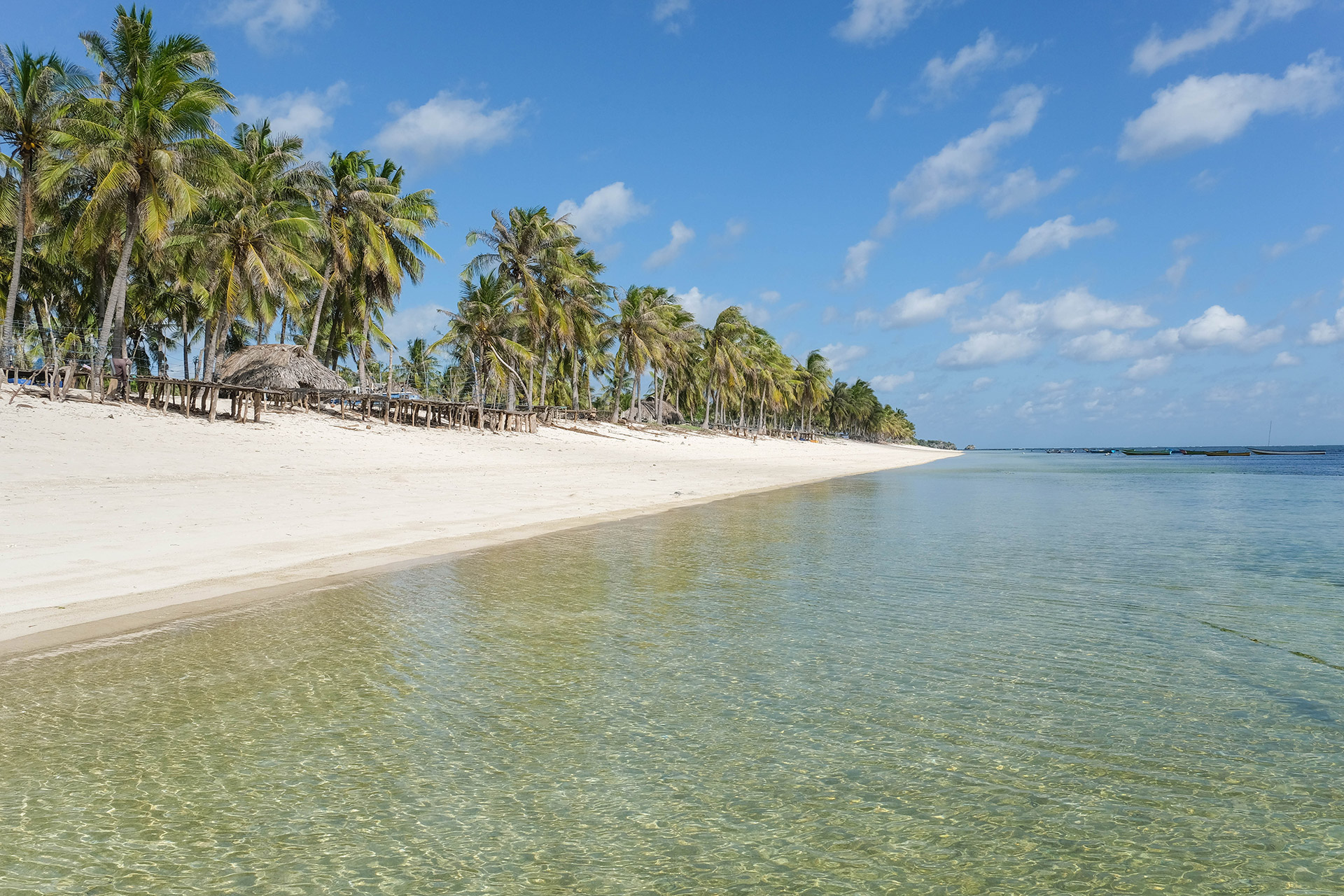 ile de Rote - Indonésie