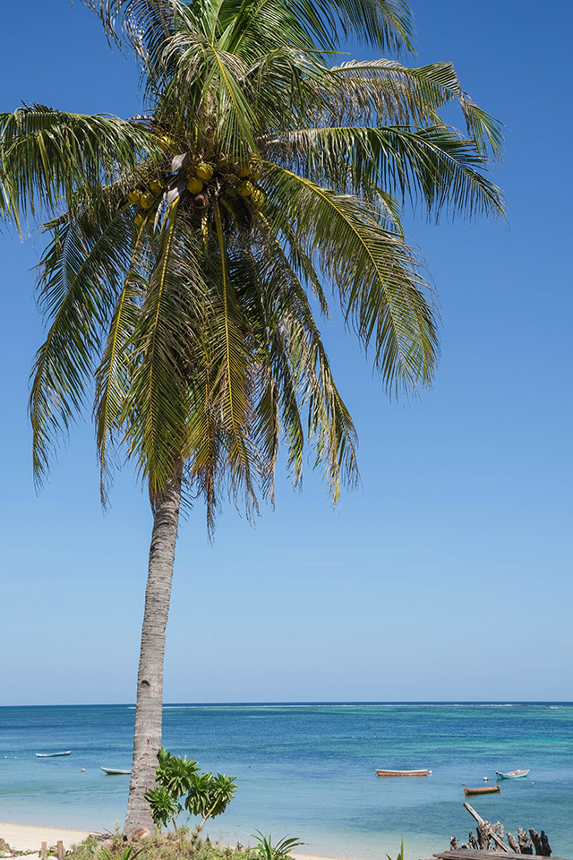 ile de Rote - Indonésie