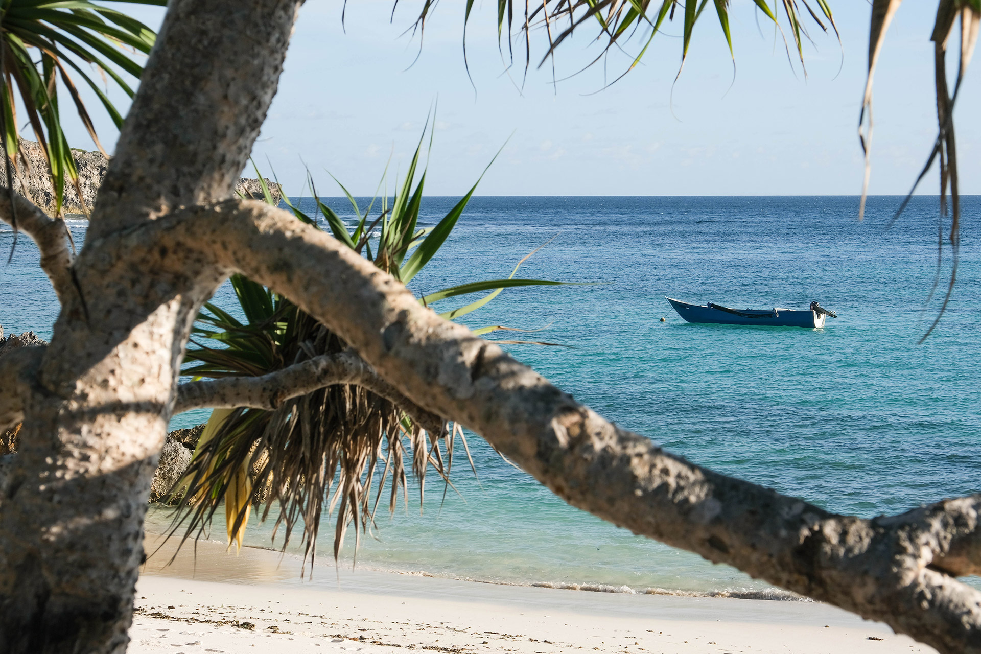 ile de Rote - Indonésie