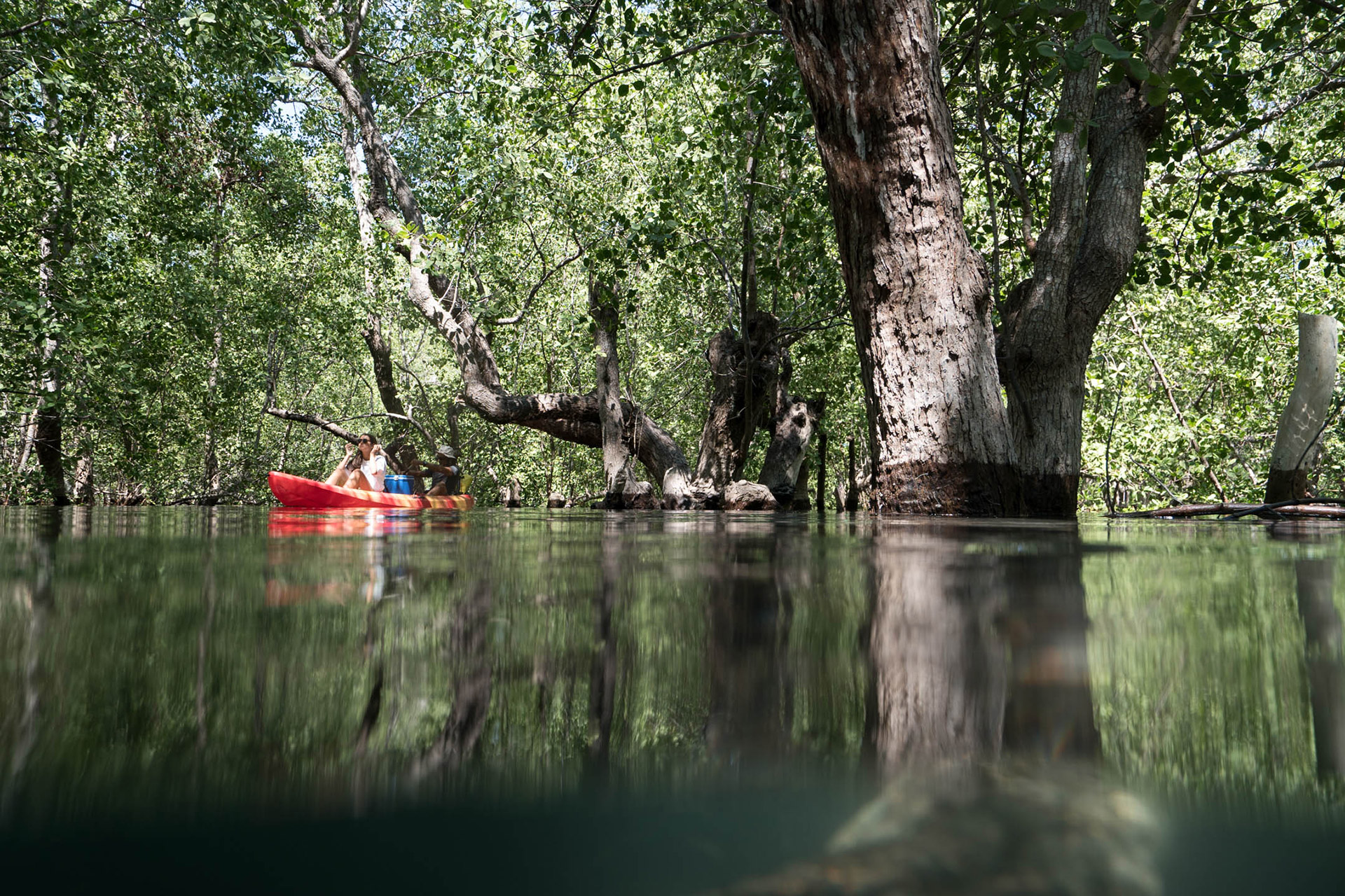 ile de Rote - Indonésie
